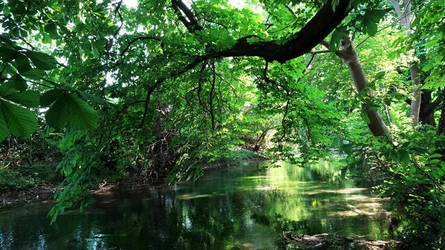 Foto: ©  Silvia Plischek