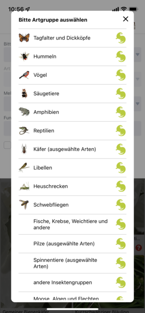 Unser App-Tipp der Woche "Naturbeobachtung.at" ist die App des Naturschutzbundes zur Beobachtung von Österreichs Fauna und Flora. Mit der App wird man Teil des Citizen Science-Projekts. | Foto: Screenshot