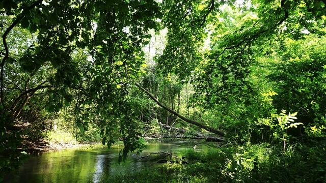 Auf Wiedersehen, bis zum nächsten Mal! | Foto: ©  Silvia Plischek