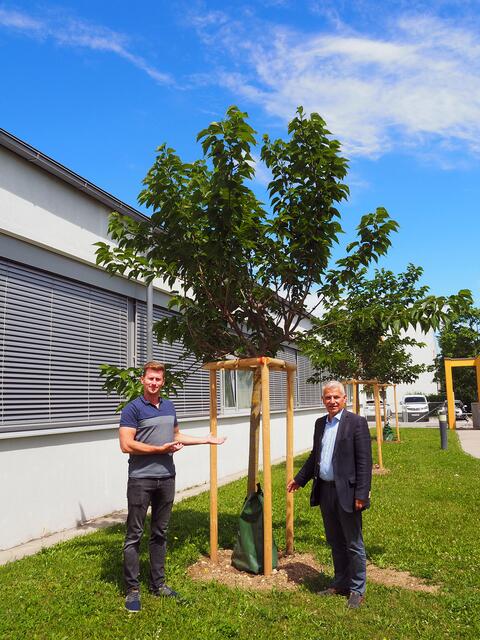 Foto: Marktgemeinde Maria Enzersdorf