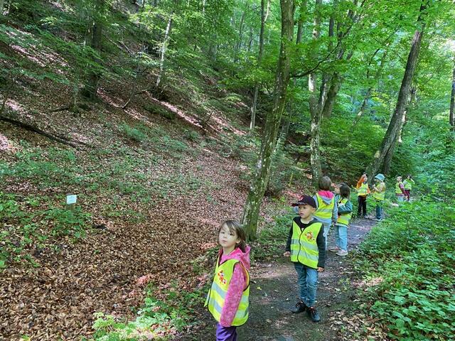 Foto: Naturpark Geschriebenstein