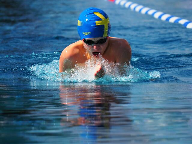 Herbert Motz war in Wels schnell unterwegs und errang 4 Medaillen