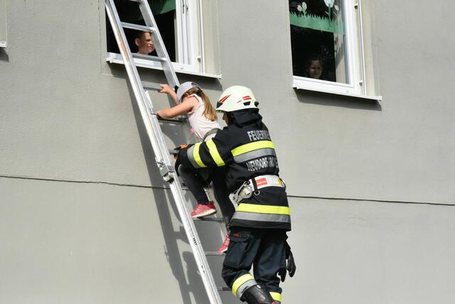 Foto: Gerald Dreisiebner