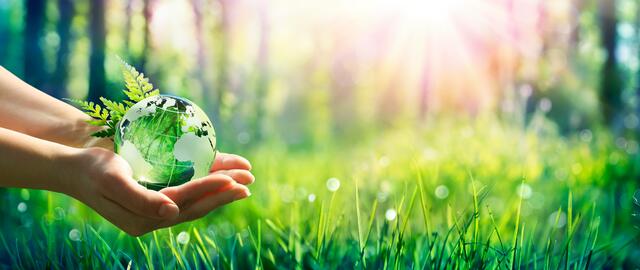 In Villach findet bald die Klimawoche statt. | Foto: stock.adobe.com/at/Romolo Tavani