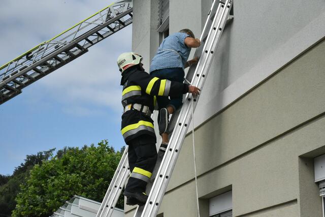 Foto: Gerald Dreisiebner