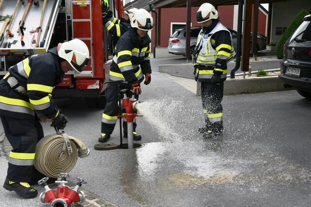 Foto: Gerald Dreisiebner