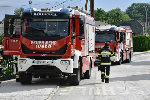 Foto: Gerald Dreisiebner