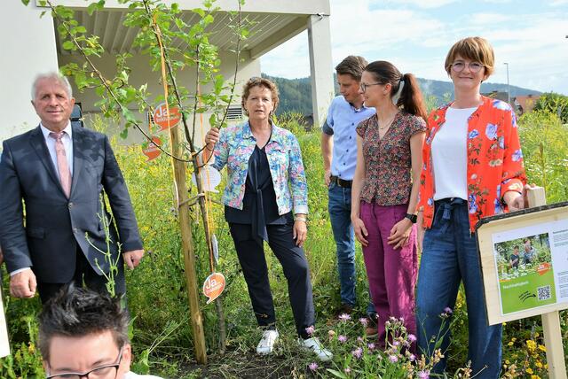 Bürgermeister Karl Fadinger, Umweltlandesrätin Ursula Lackner, Vizebürgermeister Markus Brunner, Verena Sturm und Birgit Taurer von der Lebenshilfe Trofaiach (v.l.) beim Pflanzen des Inklusionsbaums. | Foto: Peter Taurer