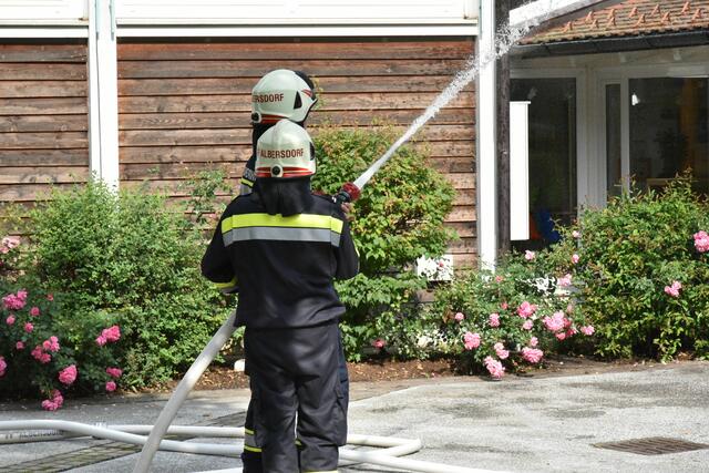 Foto: Gerald Dreisiebner