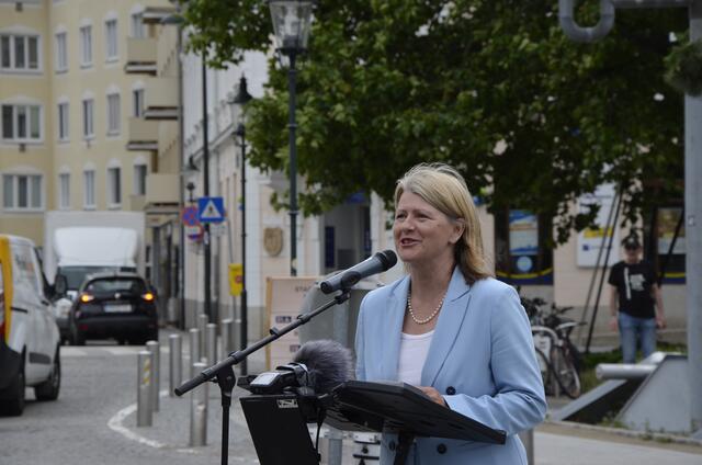 LAbg. Karin Scheele bei ihrer Rede | Foto: Stockmann