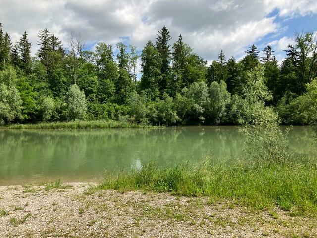 Himmlitzer Au. | Foto: Privat