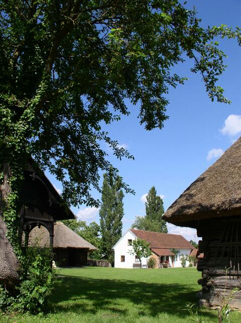 Der Kulturverein soll weiter bestehen, die Erhaltung der historischen Dorfhäuser könnte aber vom Land übernommen werden. | Foto: Petra Werkovits