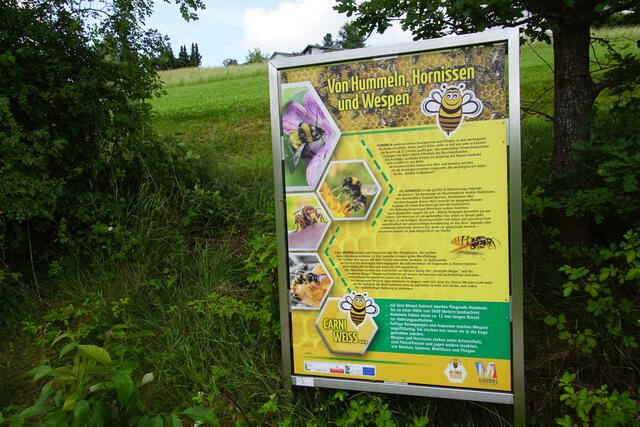Bienenweg: „Geheimnisvolle Honigbiene“, St. Martin  | Foto: Helmut Eder