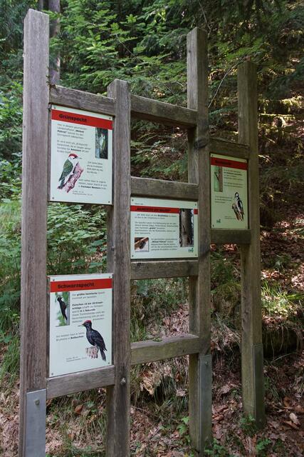 Natur-Erlebnis-Weg Steinerne Mühl, Haslach  | Foto: Helmut Eder