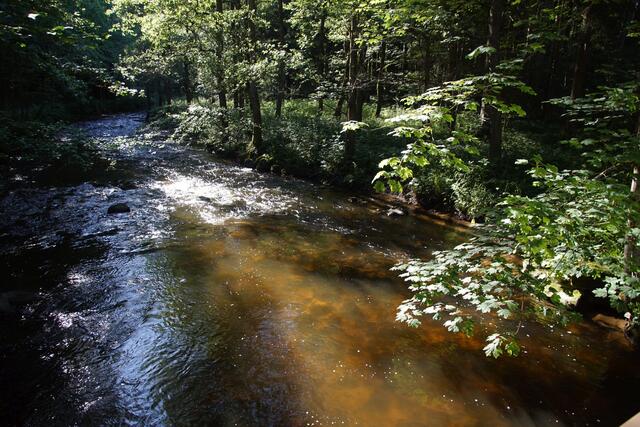 Natur-Erlebnis-Weg Steinerne Mühl, Haslach  | Foto: Helmut Eder