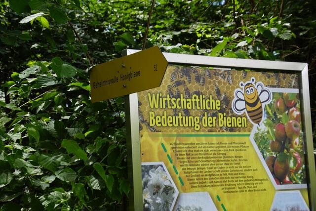 Bienenweg: „Geheimnisvolle Honigbiene“, St. Martin  | Foto: Helmut Eder
