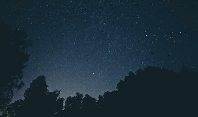 Eine klare Nacht wird heute vorausgesagt | Foto: Axel Antas-Bergkvist - Unsplash