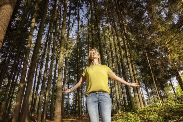 Kraft tanken und über Flora und Fauna des Innviertels lernen – der Bezirk Ried bietet eine Vielzahl an Möglichkeiten dazu. | Foto: s'Innviertel Tourismus/Kernmayer
