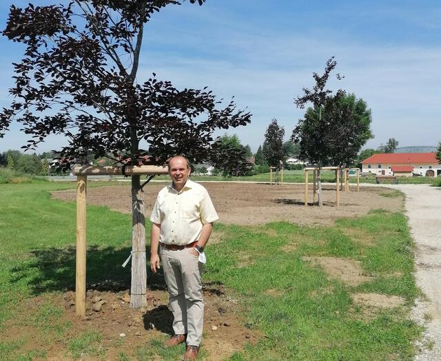 Hörschings Bürgermeister Klaus Wahlmüller. | Foto: Marktgemeinde Hörsching