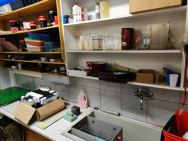 Die Dunkelkammer bei Licht, hier ist wahres Fotowissen gefragt