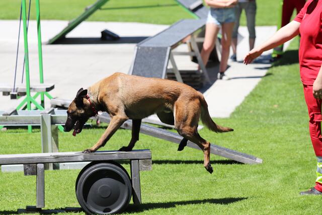 Foto: ÖHV Hundesportverein Eberschwang