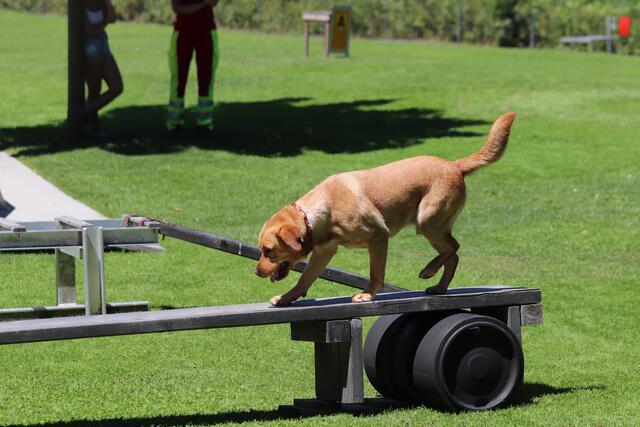 Foto: ÖHV Hundesportverein Eberschwang