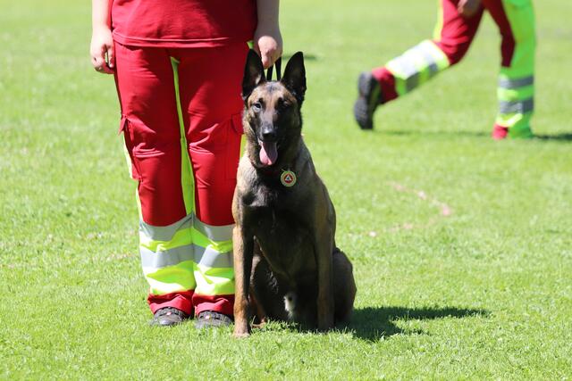 Foto: ÖHV Hundesportverein Eberschwang