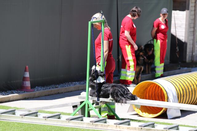 Foto: ÖHV Hundesportverein Eberschwang