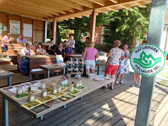 Verkochen der gesammelten Wildkräuter mit Kräuterpädagogin Christine Schweighofer.
 | Foto: KLAR! Naturpark Pöllauer Tal