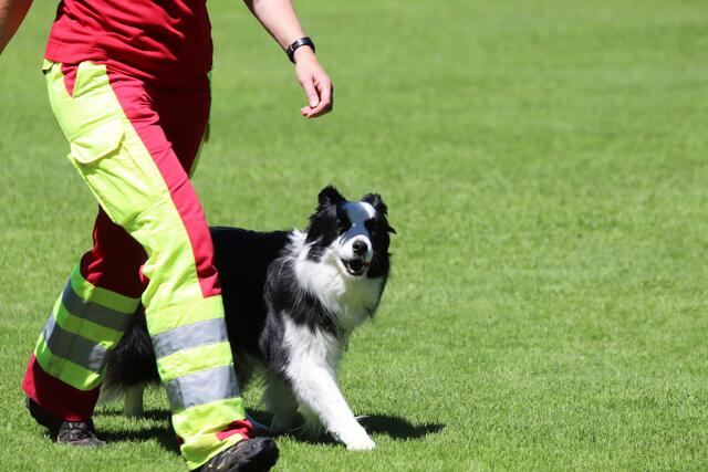 Foto: ÖHV Hundesportverein Eberschwang