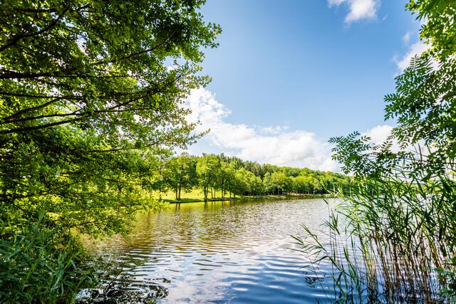 Der Rundweg um den Holzöstersee ist Teil des Moorlehrpfads. | Foto: s'Entdeckerviertel