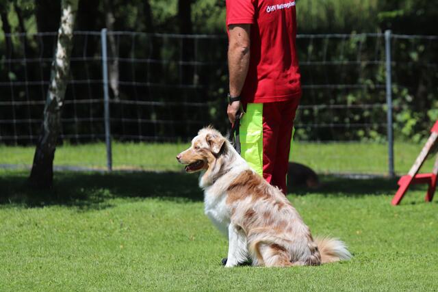 Foto: ÖHV Hundesportverein Eberschwang