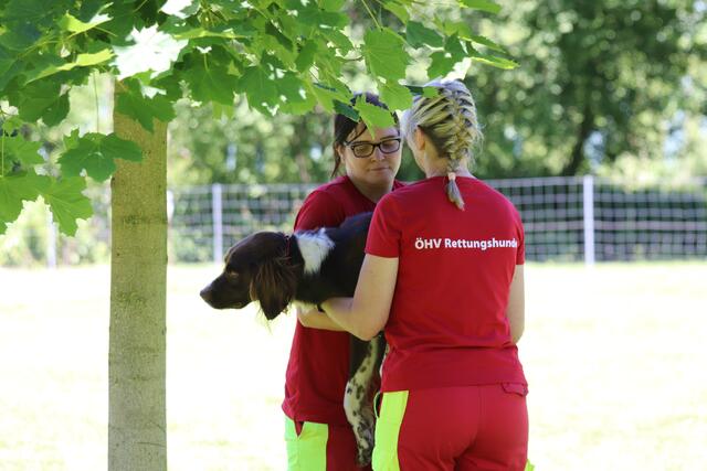 Foto: ÖHV Hundesportverein Eberschwang