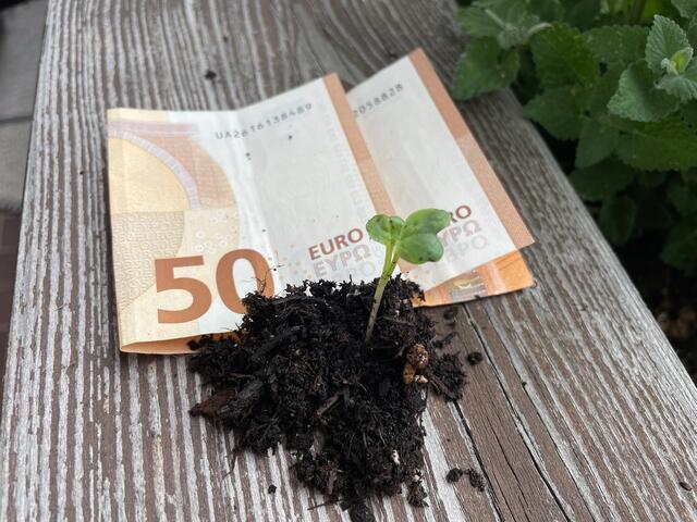 Nachhaltige ESG-Produkte sind gekommen, um zu bleiben. Mit den "grünen" Fonds lassen sich die Kapitalströme in die Richtung der Nachhaltigkeit lenken. | Foto: symbolbild: sm