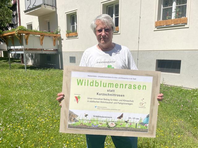 Hohe Biodiversität mitsamt Bienen und Blumen: Helmut Chrobak inmitten "seines" Wildblumenrasens im Hof der Kongresssiedlung. | Foto: Patricia Hillinger