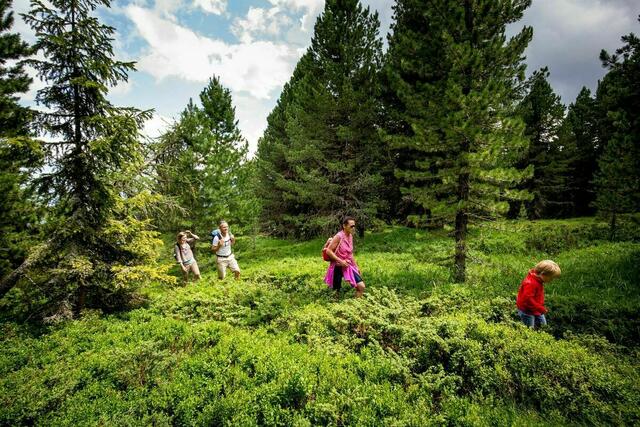 Der Sommer am Lachtal und am Kreischberg laden zu Wanderausflügen ein.  | Foto: KB/ikarus.cc