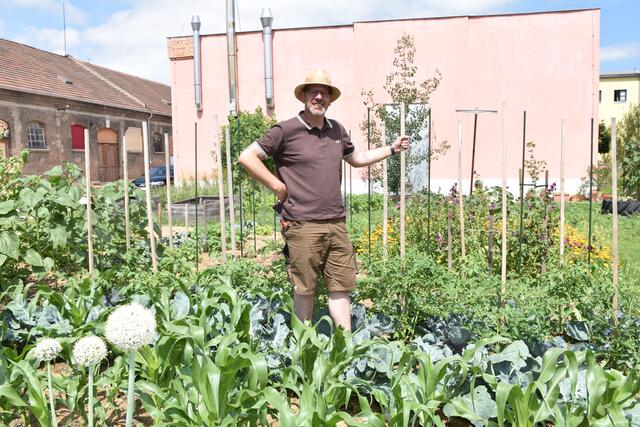 Der "Phönix"-Gemeinschaftsgarten hat die "Natur im Garten"-Plakette, doch für Norbert Horvath steht der Mensch im Mittelpunkt. | Foto: Zezula