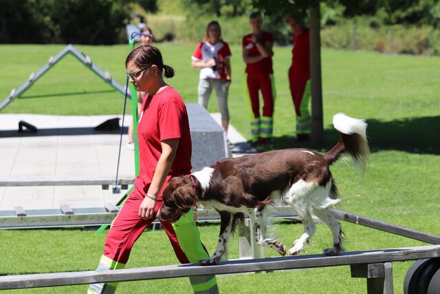 Foto: ÖHV Hundesportverein Eberschwang