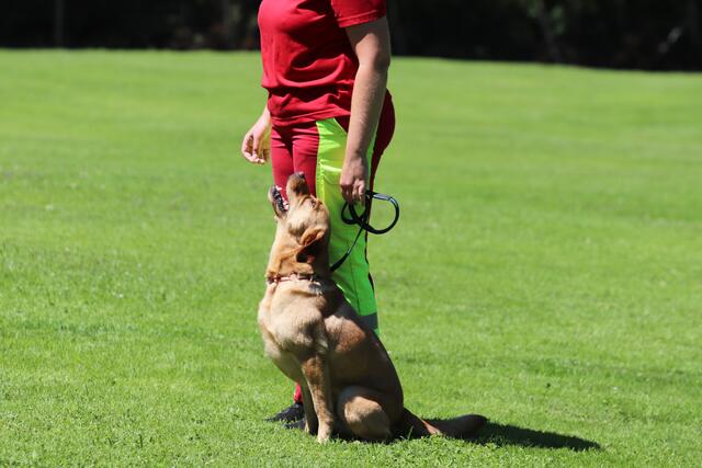 Foto: ÖHV Hundesportverein Eberschwang