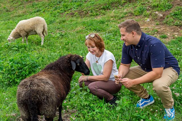 Vierbeinige Landschaftsgestalter helfen in Eggenberg fleißig mit. | Foto: Brand Images