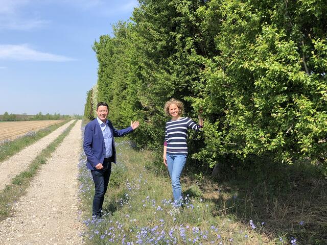 Windschutzgürtel und Bodenschutzanlagen sind ein wichtiger Beitrag gegen Erosion und leisten einen Betrag zur Biodiversität. Für LAbg. Kurt Hackl und der ecoplus Standortmanagerin Bernadette Ecklhart auch ein wichtiges Thema im eco plus Wirtschaftspark. | Foto: Hackl