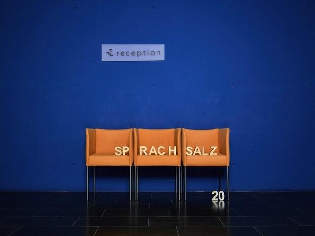 Die Jubiläumsausgabe „20 Jahre Sprachsalz", mit Lesungen und Gesprächen, findet wieder vor Ort im Parkhotel, im Kurhaus und im Medienturm Ablinger.Garber in Hall in Tirol statt. | Foto: Yves Noir