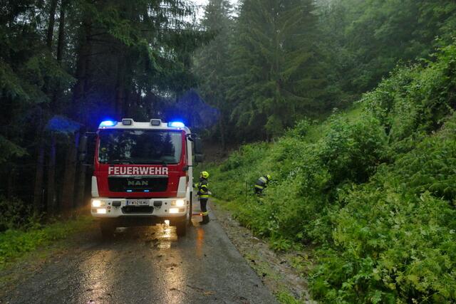 Die Feuerwehren arbeiten weiter. | Foto: FF/Horn