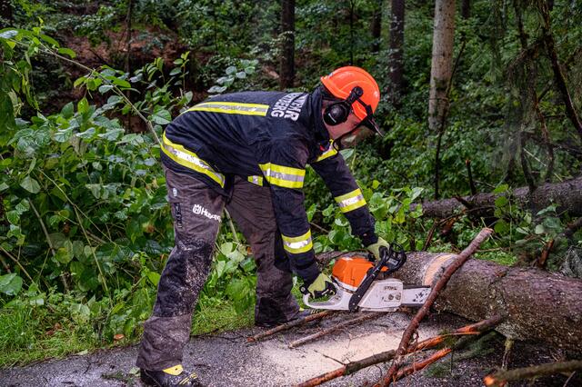 Foto: fotokerschi.at/Brandstätter