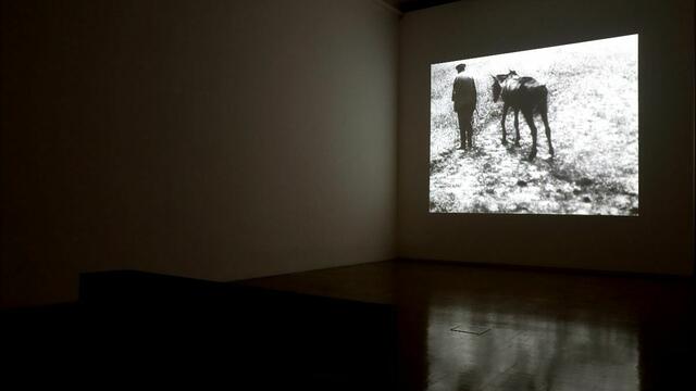 Die umkämpfte Ukraine in Videokunst und Film: Der steirische Herbst startet bereits im Sommer mit einem Prolog in der Neuen Galerie Graz.  | Foto: Universalmuseum Joanneum / J.J. Kucek