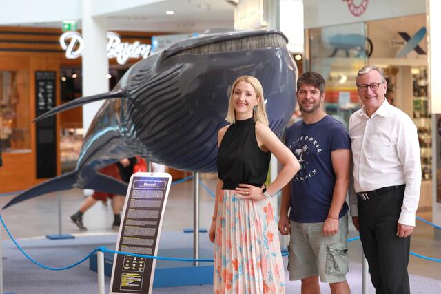 Roswitha Lahousen, Marketing Citypark, Ausstellungsmacher Pavel Kratochvil, DiscoveryTM, und Waldemar Zelinka, Centermanager Citypark, (v.l.) bringen die Welten der Meere in das Grazer Einkaufszentrum. | Foto: Citypark Graz