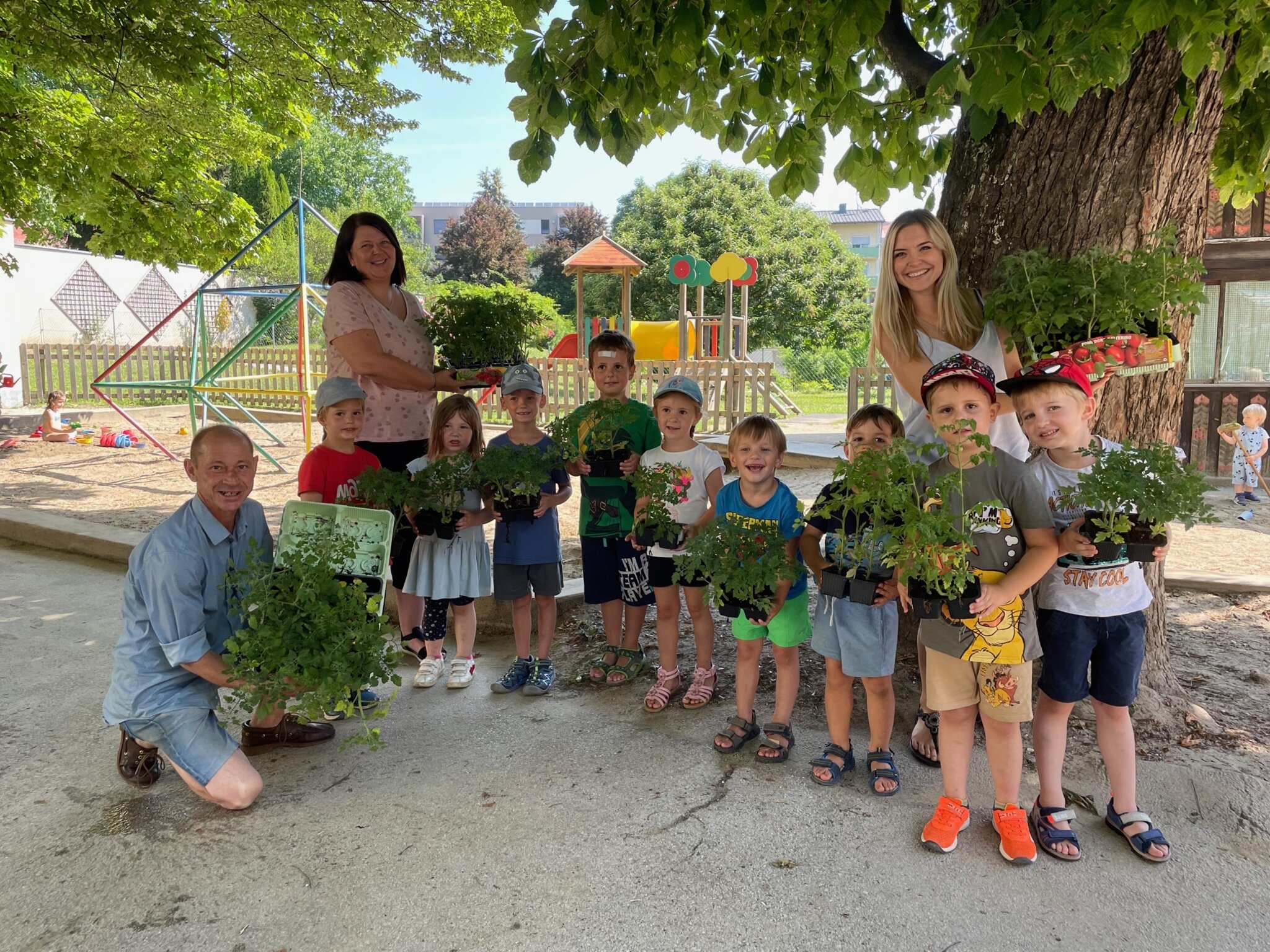 Tomatenpflanzen übergeben: Tomatentag in Antonius-Kindergarten