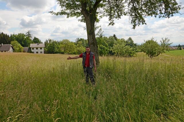 Harald Doppelbauer, Bio-Landwirt aus Kematen am Innbach, steht geplanten Umwidmungen in seiner Gemeinde kritisch gegenüber. | Foto: BRS/Pointinger