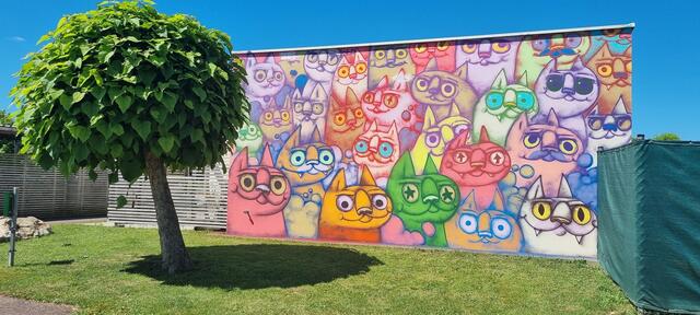 Die neu gestaltete Wand beim Bade- und Freizeitwelt Siniwelt. Der Künstler Lunar aus Kroatien zeigte hier sein Können.  | Foto: Urban Art Festival Styria