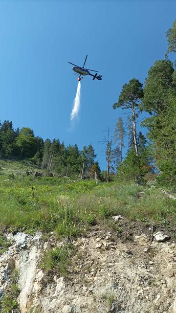 Auch Hubschrauber sind im Einsatz. Der Wind erschwert momentan die Löscharbeiten. | Foto: BFVMZ